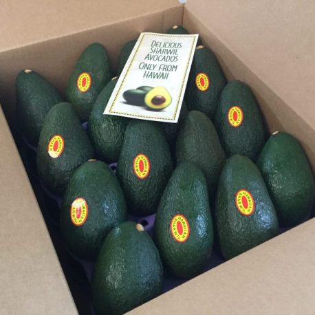 The Hawaiian Sharwil Avocado Story